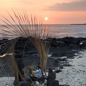 Meet your Posher, Young jo